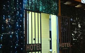 Hotel Artist